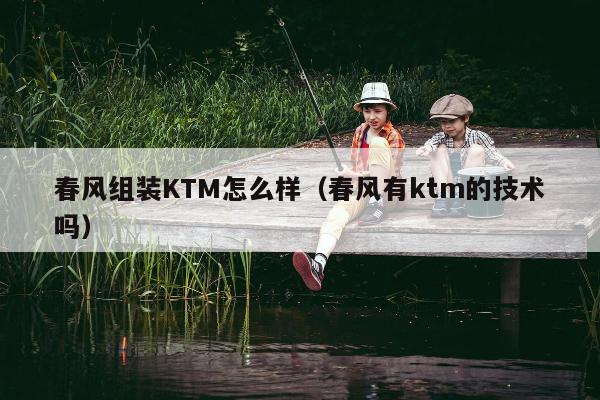 春风组装KTM怎么样（春风有ktm的技术吗）