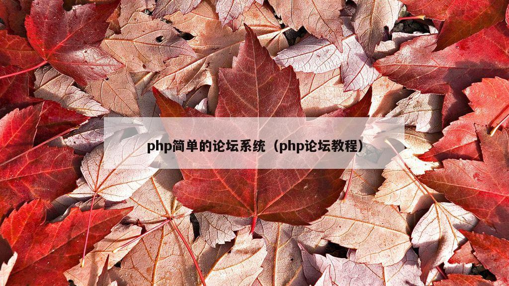 php简单的论坛系统（php论坛教程）