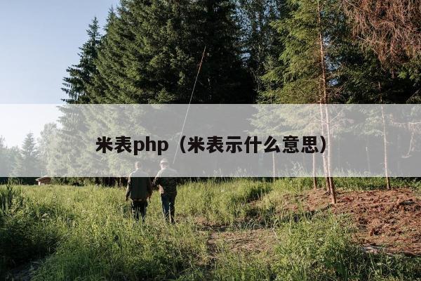 米表php（米表示什么意思）