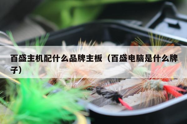 百盛主机配什么品牌主板（百盛电脑是什么牌子）