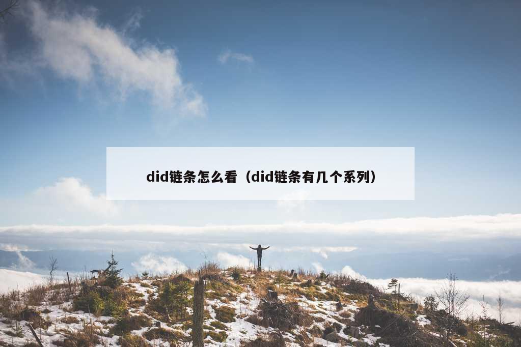 did链条怎么看（did链条有几个系列）