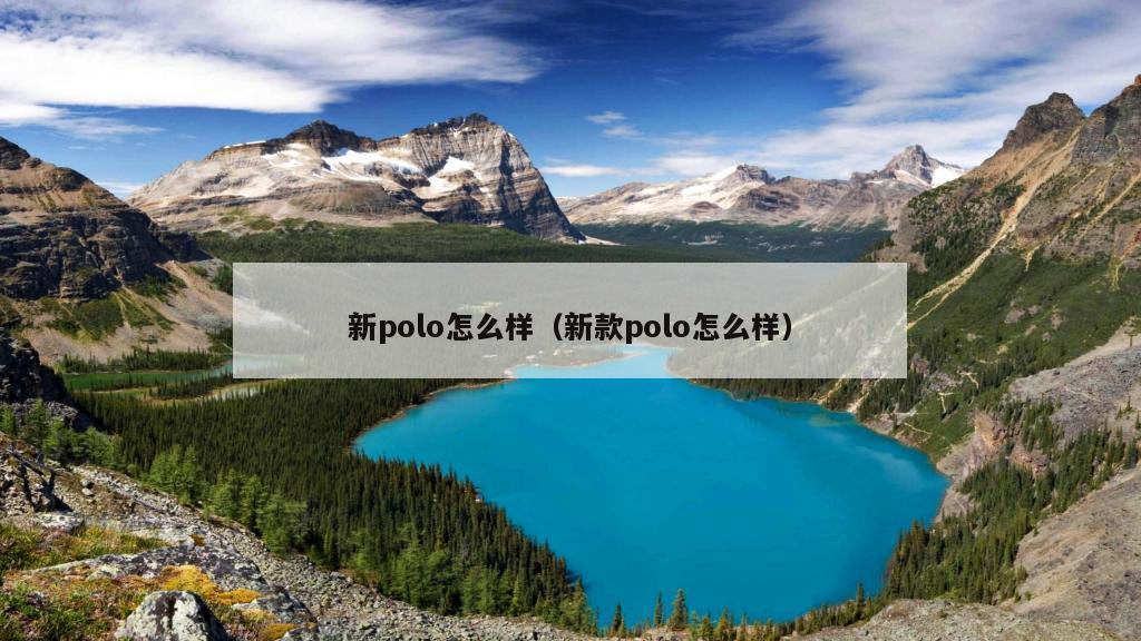 新polo怎么样（新款polo怎么样）