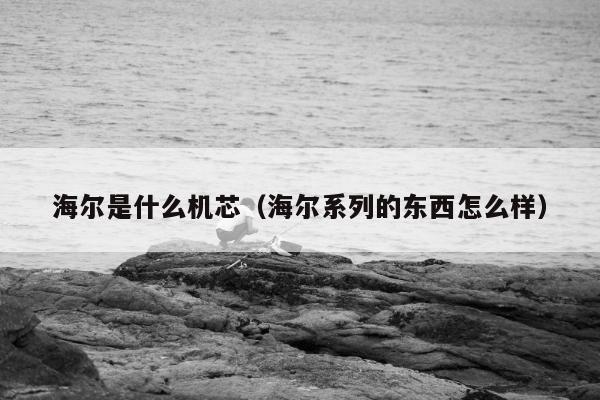 海尔是什么机芯（海尔系列的东西怎么样）