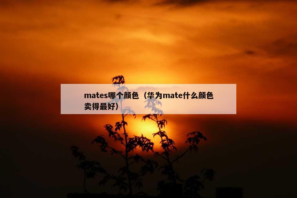 mates哪个颜色（华为mate什么颜色卖得最好）