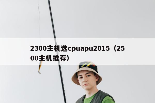 2300主机选cpuapu2015（2500主机推荐）