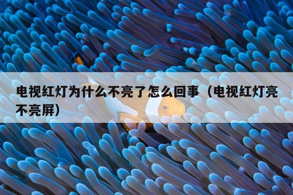 电视红灯为什么不亮了怎么回事（电视红灯亮不亮屏）