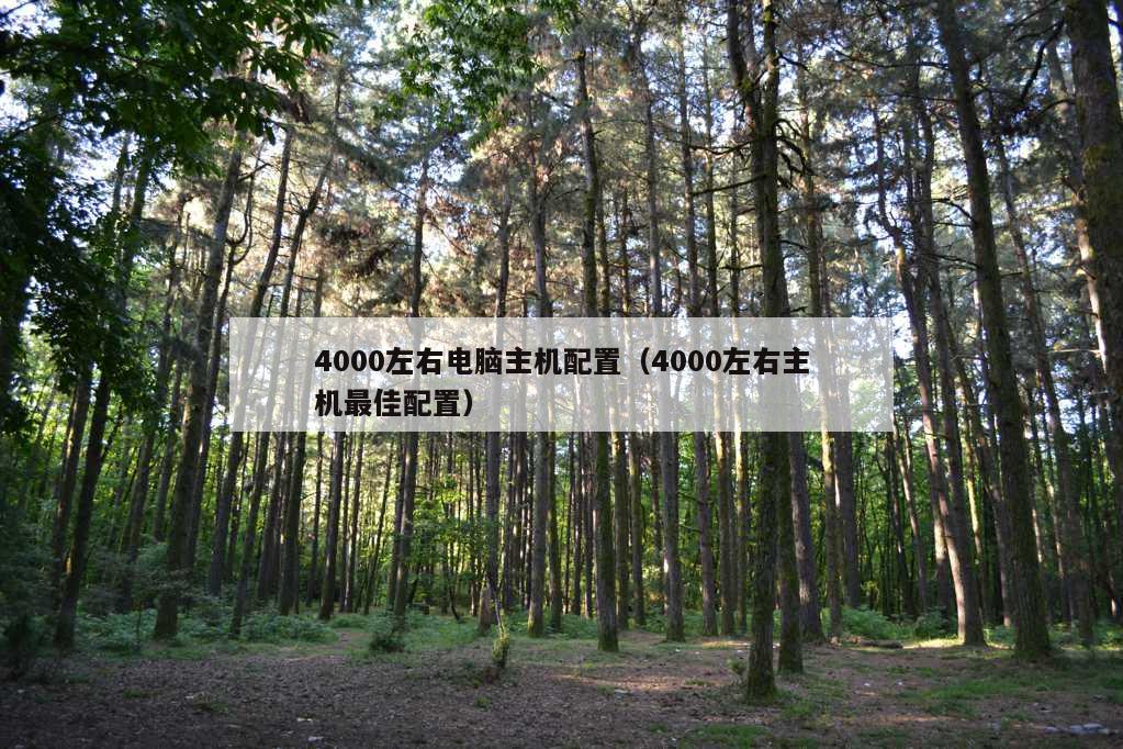 4000左右电脑主机配置（4000左右主机最佳配置）