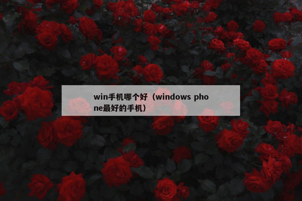 win手机哪个好（windows phone最好的手机）