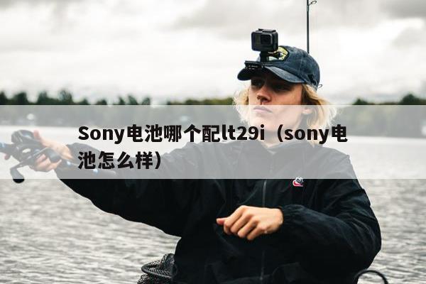 Sony电池哪个配lt29i（sony电池怎么样）