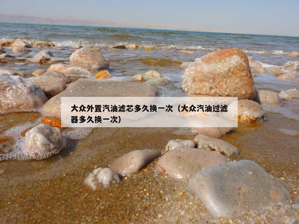 大众外置汽油滤芯多久换一次（大众汽油过滤器多久换一次）