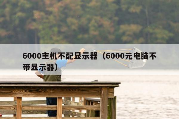 6000主机不配显示器（6000元电脑不带显示器）