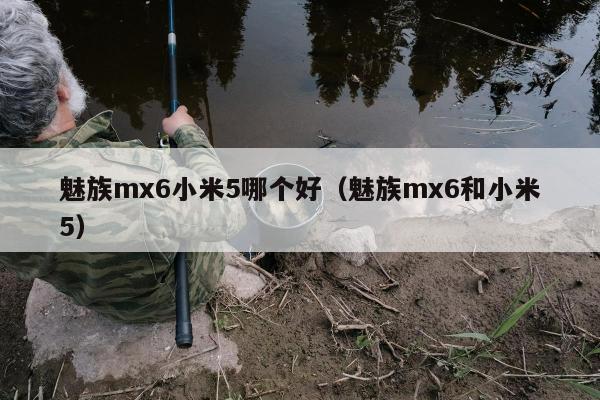 魅族mx6小米5哪个好（魅族mx6和小米5）