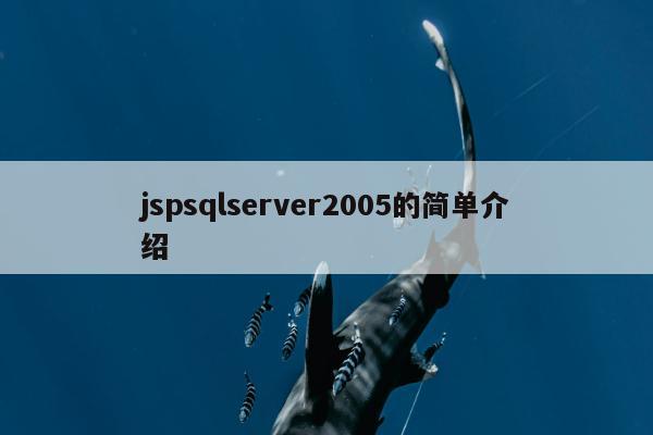 jspsqlserver2005的简单介绍