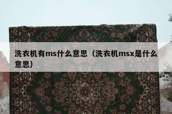 洗衣机有ms什么意思（洗衣机msx是什么意思）