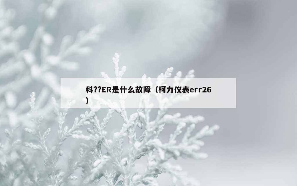 科??ER是什么故障（柯力仪表err26）