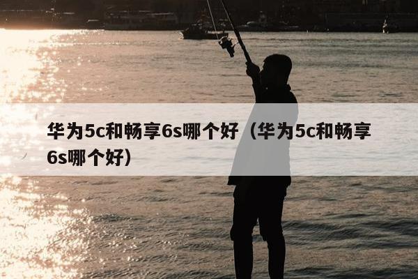 华为5c和畅享6s哪个好（华为5c和畅享6s哪个好）