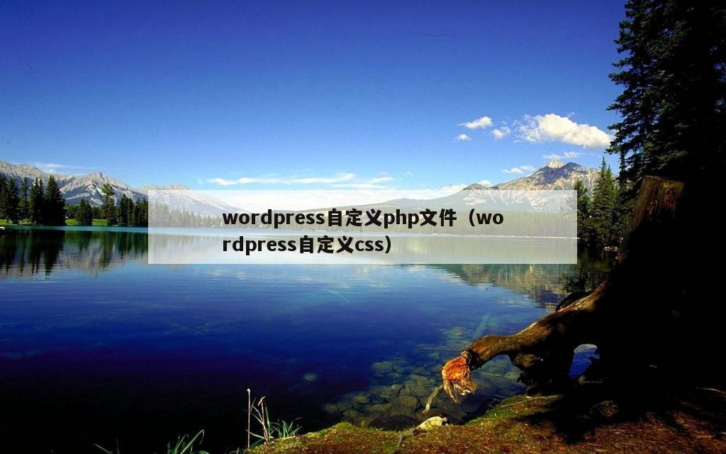 wordpress自定义php文件（wordpress自定义css）