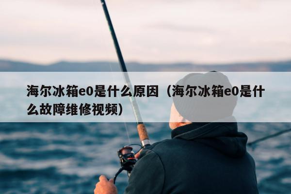 海尔冰箱e0是什么原因（海尔冰箱e0是什么故障维修视频）