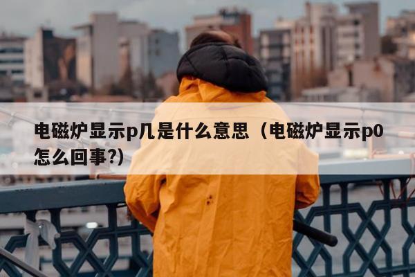 电磁炉显示p几是什么意思（电磁炉显示p0怎么回事?）