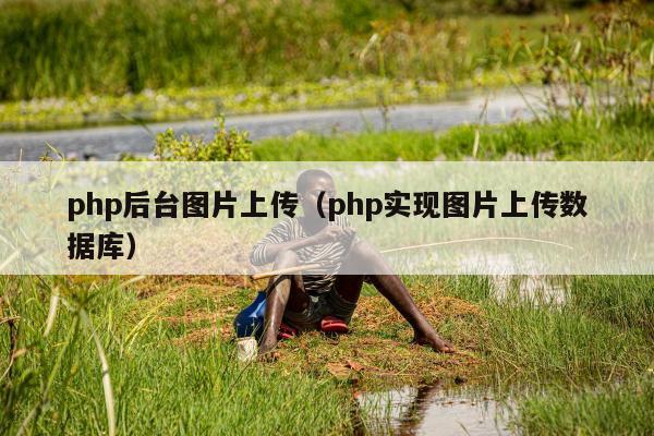 php后台图片上传（php实现图片上传数据库）