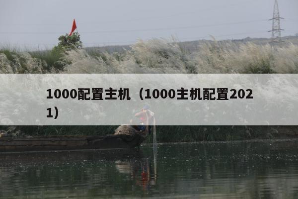 1000配置主机（1000主机配置2021）