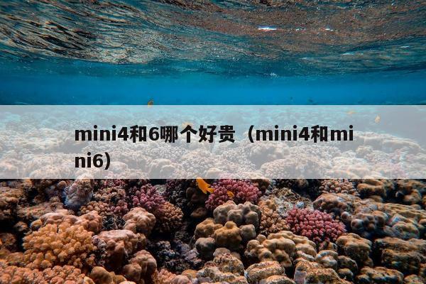 mini4和6哪个好贵（mini4和mini6）