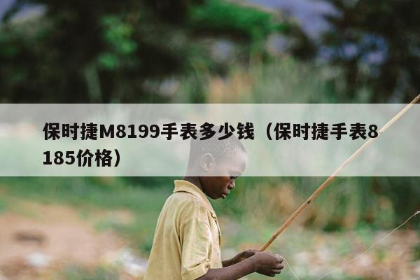 保时捷M8199手表多少钱（保时捷手表8185价格）