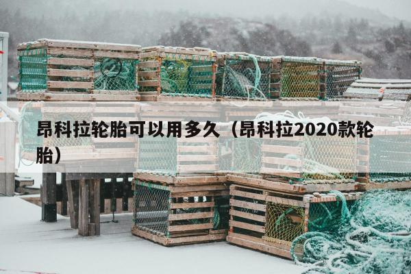 昂科拉轮胎可以用多久（昂科拉2020款轮胎）