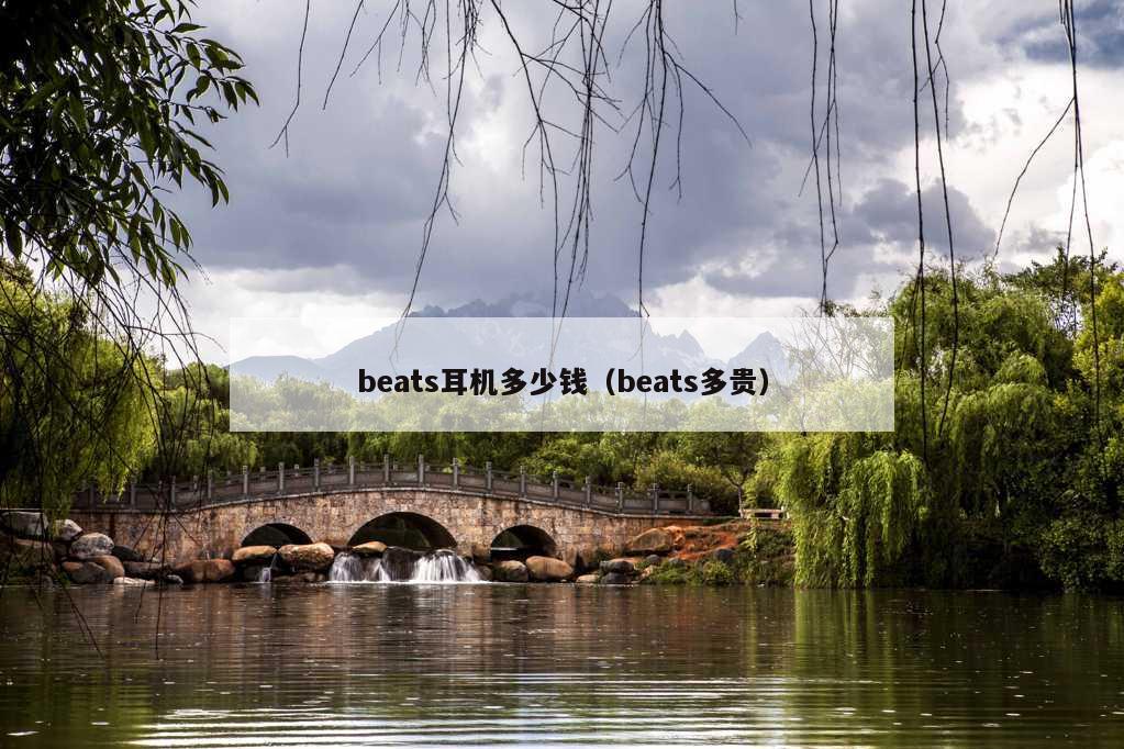 beats耳机多少钱（beats多贵）