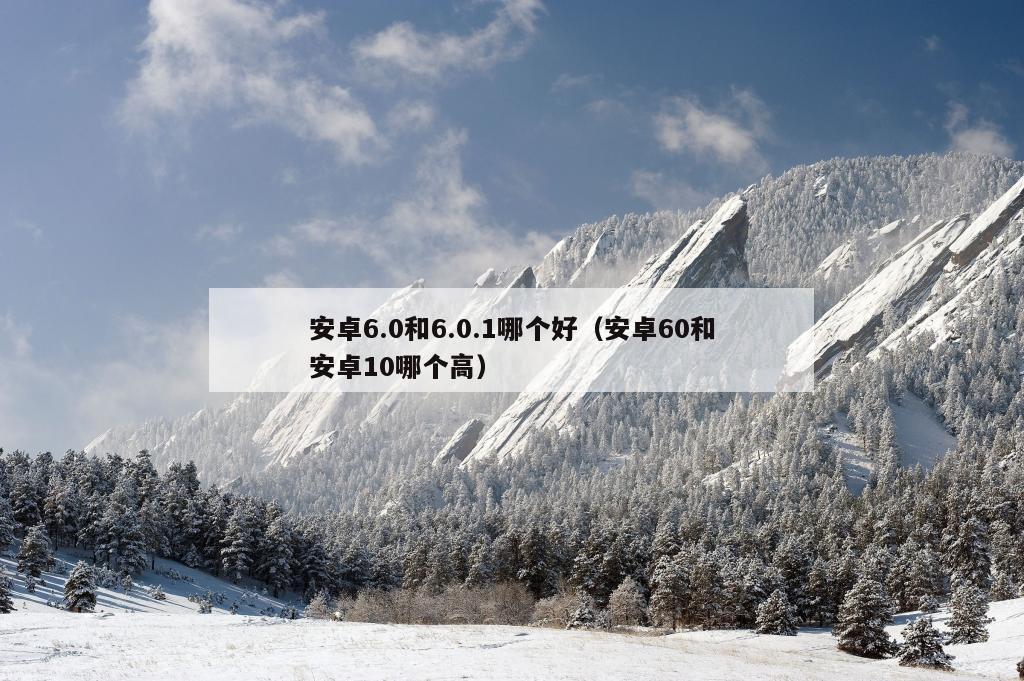 安卓6.0和6.0.1哪个好（安卓60和安卓10哪个高）