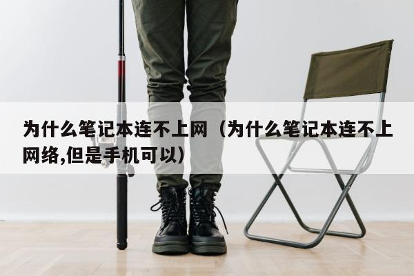 为什么笔记本连不上网（为什么笔记本连不上网络,但是手机可以）