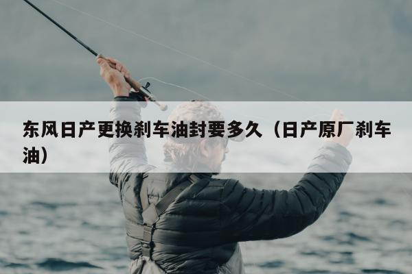 东风日产更换刹车油封要多久（日产原厂刹车油）