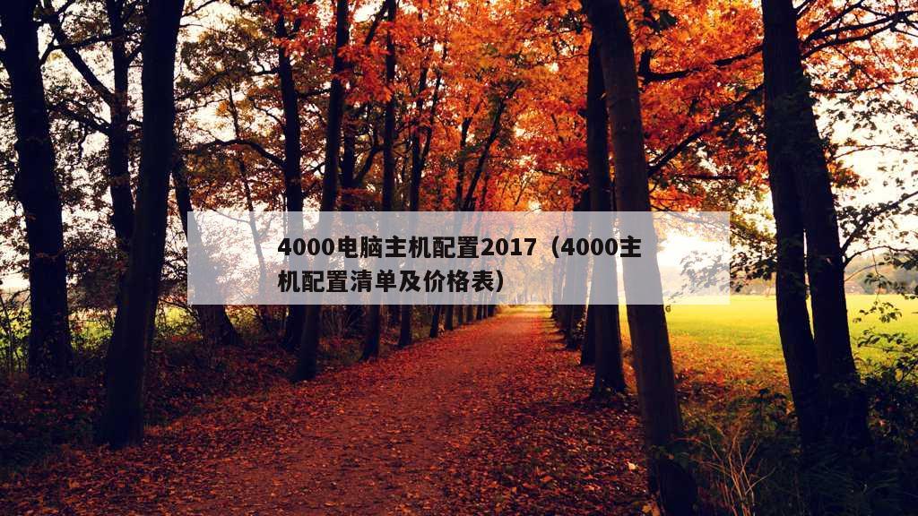 4000电脑主机配置2017（4000主机配置清单及价格表）