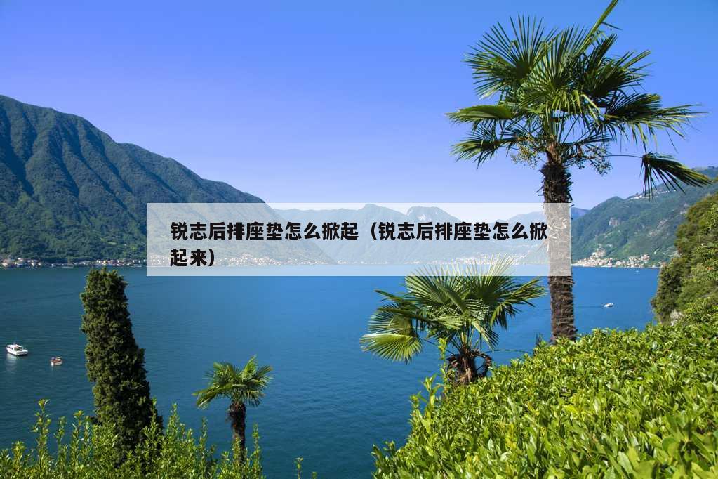 锐志后排座垫怎么掀起（锐志后排座垫怎么掀起来）