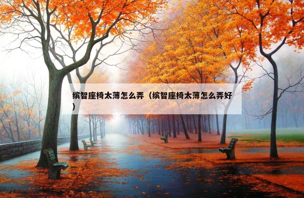 缤智座椅太薄怎么弄（缤智座椅太薄怎么弄好）