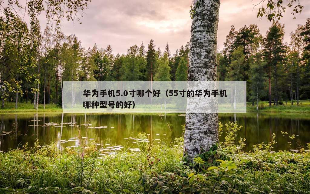 华为手机5.0寸哪个好（55寸的华为手机哪种型号的好）