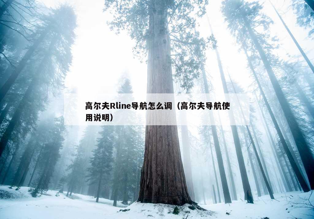 高尔夫Rline导航怎么调（高尔夫导航使用说明）