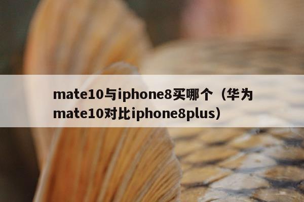 mate10与iphone8买哪个（华为mate10对比iphone8plus）