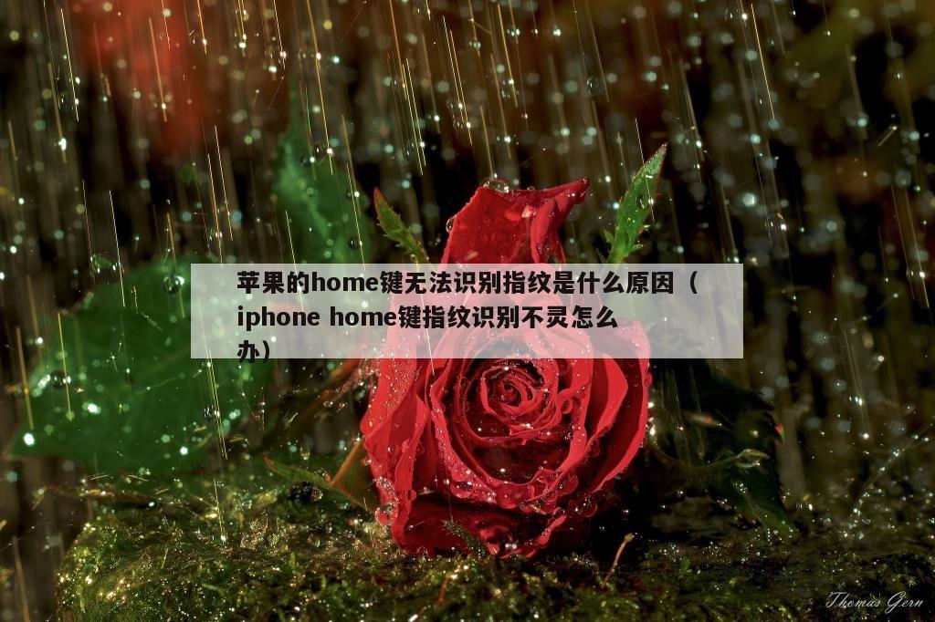 苹果的home键无法识别指纹是什么原因（iphone home键指纹识别不灵怎么办）