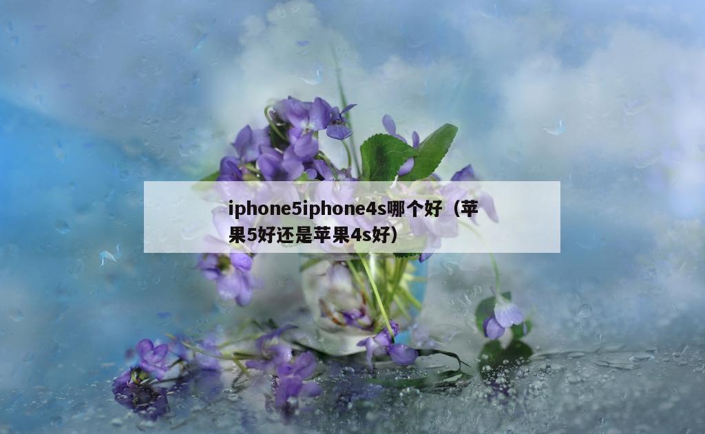 iphone5iphone4s哪个好（苹果5好还是苹果4s好）