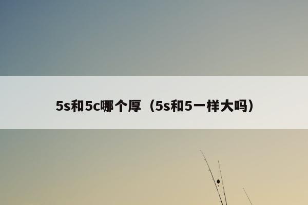 5s和5c哪个厚（5s和5一样大吗）