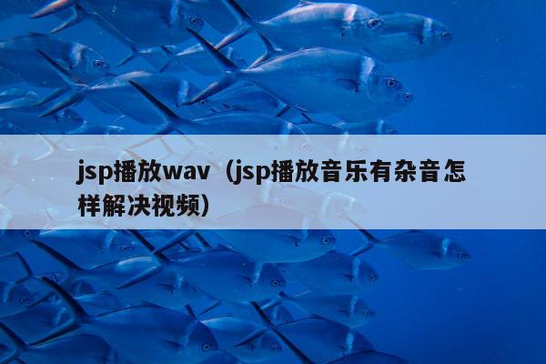 jsp播放wav（jsp播放音乐有杂音怎样解决视频）