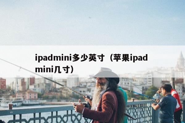 ipadmini多少英寸（苹果ipad mini几寸）