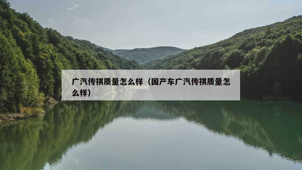 广汽传祺质量怎么样（国产车广汽传祺质量怎么样）