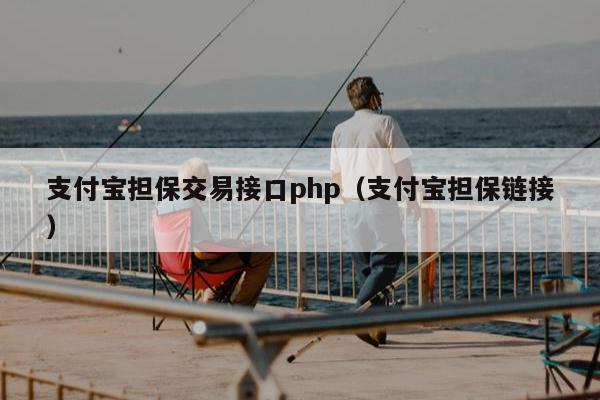 支付宝担保交易接口php（支付宝担保链接）