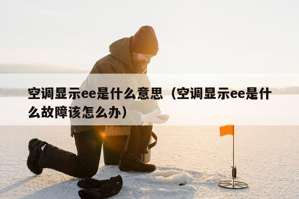 空调显示ee是什么意思（空调显示ee是什么故障该怎么办）