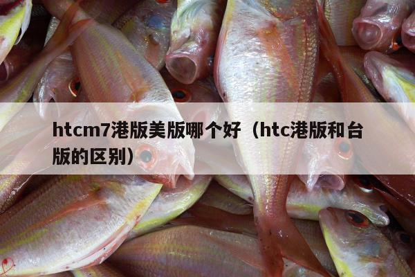 htcm7港版美版哪个好（htc港版和台版的区别）