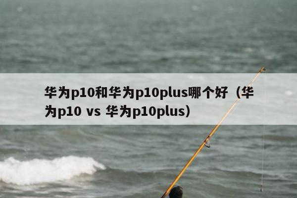 华为p10和华为p10plus哪个好（华为p10 vs 华为p10plus）