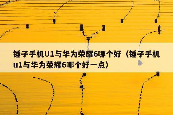 锤子手机U1与华为荣耀6哪个好（锤子手机u1与华为荣耀6哪个好一点）