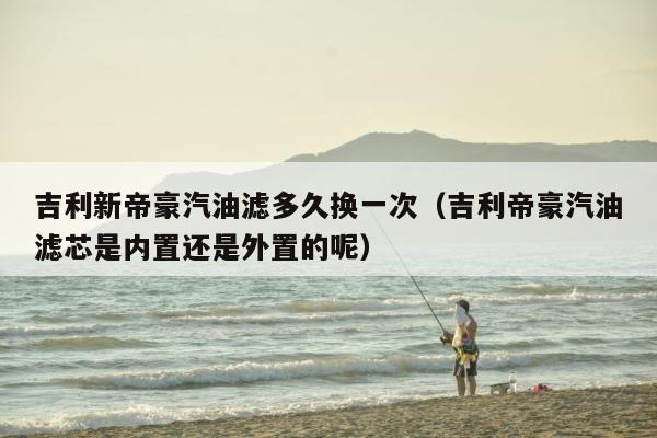 吉利新帝豪汽油滤多久换一次（吉利帝豪汽油滤芯是内置还是外置的呢）